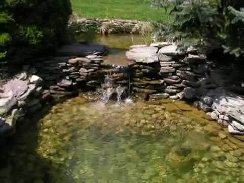 koi pond prices image search results koi pond prices image search results