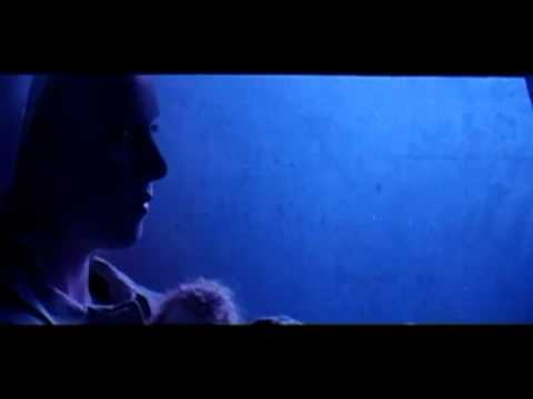 Undone Video