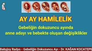 GEBELİKTE 9. AY (~34-38. HAFTALAR). ANNE ADAYI NELER YAŞAR VE HİSSEDER? BEBEKTE NE GELİŞMELER OLUR?