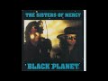 The Sisters of Mercy-No Time to Cry-Black Planet (Bootleg)