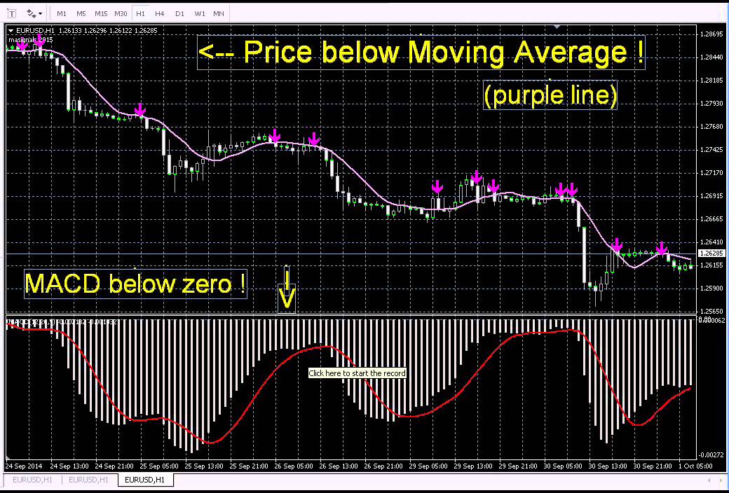 accurate forex indicator arrows
