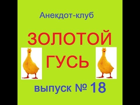 Короткие поздравления с Рождением сына - Смс стихи Код акции Квелле - большие размеры по приемлемым ценам