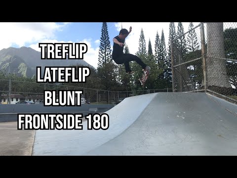 Treflip Lateflip Blunt Frontside 180 - Jason Park