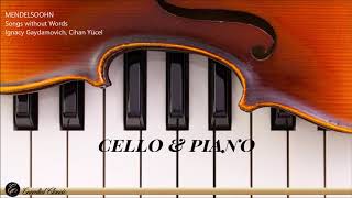 Cello & Piano Duet | The Best of Classical Music