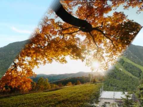 Omkar Swarupa sung by Sonia Mukherjee
