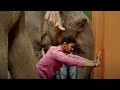 देखिये कैसे हाथियोंने की Sreenivas Bellamkonda की मदत | South Indian Hindi Dubbed Best Scenes