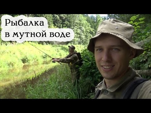 лучшие приманки для ловли рыбы в мутной воде на реке лучшие приманки для ловли рыбы в мутной воде на реке