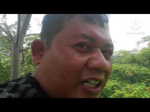 adventure/jalan jalan/ke desa panduman kec. jelbuk di kebun ketinggian. kab. jember.