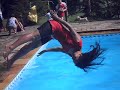 Debora pulando na piscina