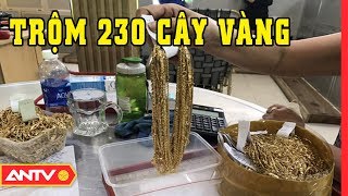 An ninh ngày mới hôm nay | Tin tức 24h Việt Nam | Tin nóng mới nhất ngày 19/01/2019 | ANTV