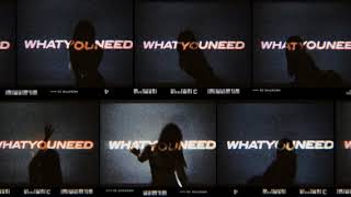 Watch Jae Stephens What You Need feat They video