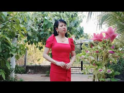 Vọng Kim lang bài hát MẶT TRÁI CỦA ĐỒNG TIỀN.Tg Hoài Phong.Tb Thiên Ý