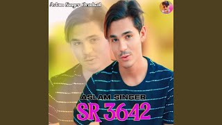 Aslam Singer Sr 3642