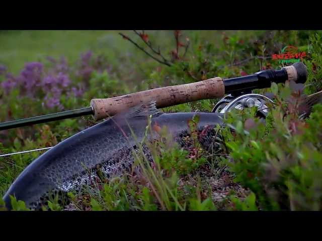 Видео о рыбалке №284