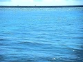 沖縄離島旅行2010夏 8/1多良間島 普天間港の海