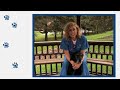 Tick Lifecycle.mp4