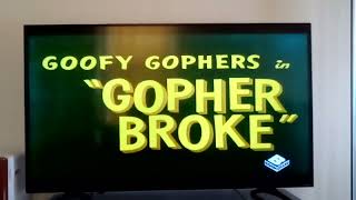 This Is The Intro Of Gopher Broke, Broke On Money