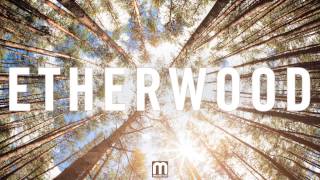 Etherwood - We Are Ever Changing