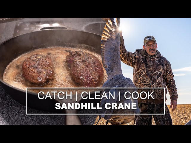 Watch Sandhill Crane Hunting!! | CATCH, CLEAN, COOK on YouTube.