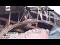 Raw Video: Powerful Quake in Northern Italy