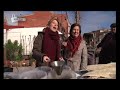 mercadillo