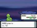 Pokemon Diamond - Gameplay Action