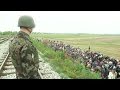 Reportage dans un camp de migrants en Slovénie