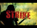 Seek 'N' Strike