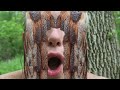 Matt Bauer - Barn Owl - Video by Jenn Myers