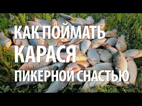 Снасть на карася своими руками на удилище Снасть на карася своими руками на удилище