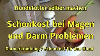 schonkost bei darmentzündung