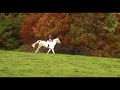 jumping