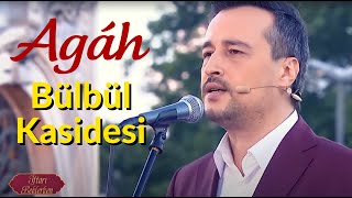 BÜLBÜL KASİDESİ - AGAH