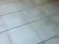 Doggy style on grandma