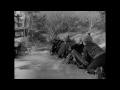 Online Movie It's a Wonderful Life (1946) Watch Online