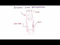 Systemic Lupus Erythematosus Sle Causes Symptoms Diagnosis Pathology images Systemic Lupus Erythematosus Sle Causes Symptoms Diagnosis Pathology