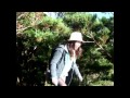 鹿児島・屋久島 Make the most of your life