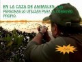 proyecto mi comunidad.wmv