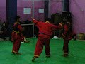 image Seleksi Tapak Suci Kejurda Ipsi Pra Remaja