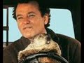 groundhog day-Pennsylvania Polka-Frankie