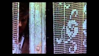 Watch Peter Hammill Central Hotel video