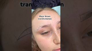 Major Brows Transformation Microshading