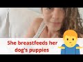 A Woman Breastfeeding her Dog's Puppies
