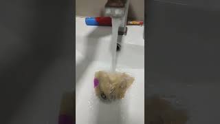 The Melting Bossy Bear, Purple Guy, Snake, Harry Potter.