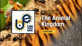 The Uncommon Engineer: The Animal Kingdom with David Hu