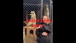 Dans Eden Rakun Çayir Bi̇çi̇yom Çayir Yaniyom Cayir Cayir