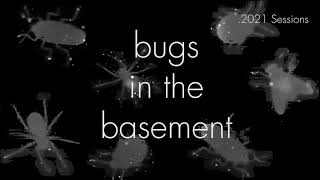 Bugs In The Basement - Bombus Balteatus aka The High Country Bumble Bee