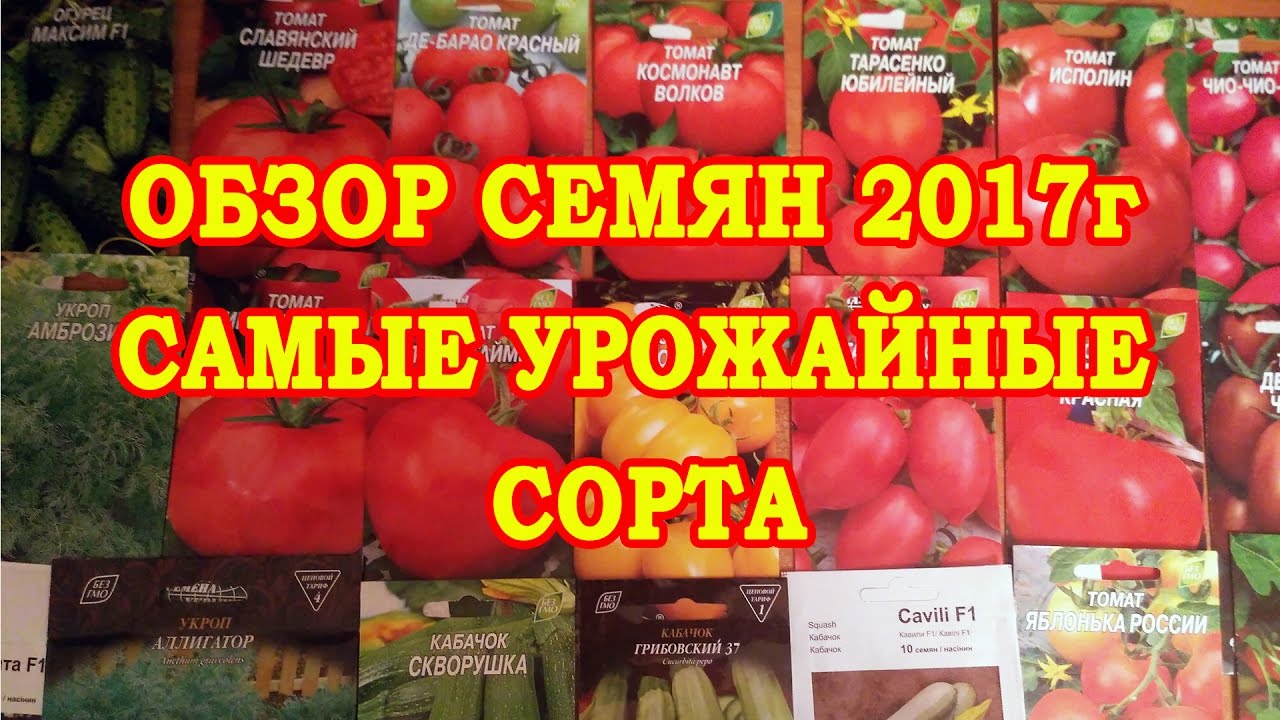 Новые сорта семян в этом году Новые сорта семян в этом году