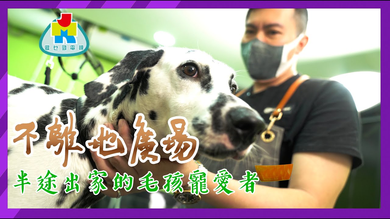 【寵物美容】半途出家的毛孩守護者 | 不離地廣場