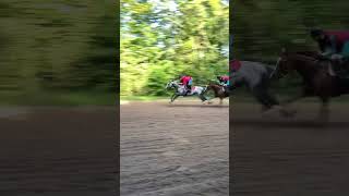 Crisalsa And Faster Far And Away.